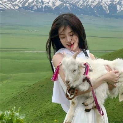 好猫咪咪