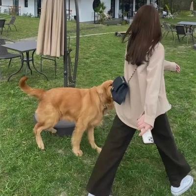 妄想症
